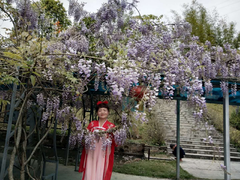 莉莉的第一张照片--松溪征婚网
