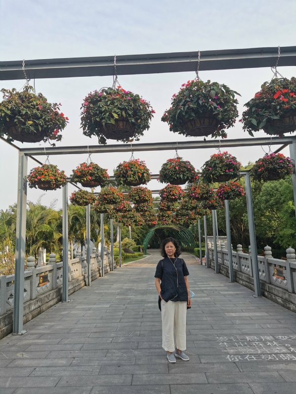 一叶知秋的第二张照片--松溪征婚网
