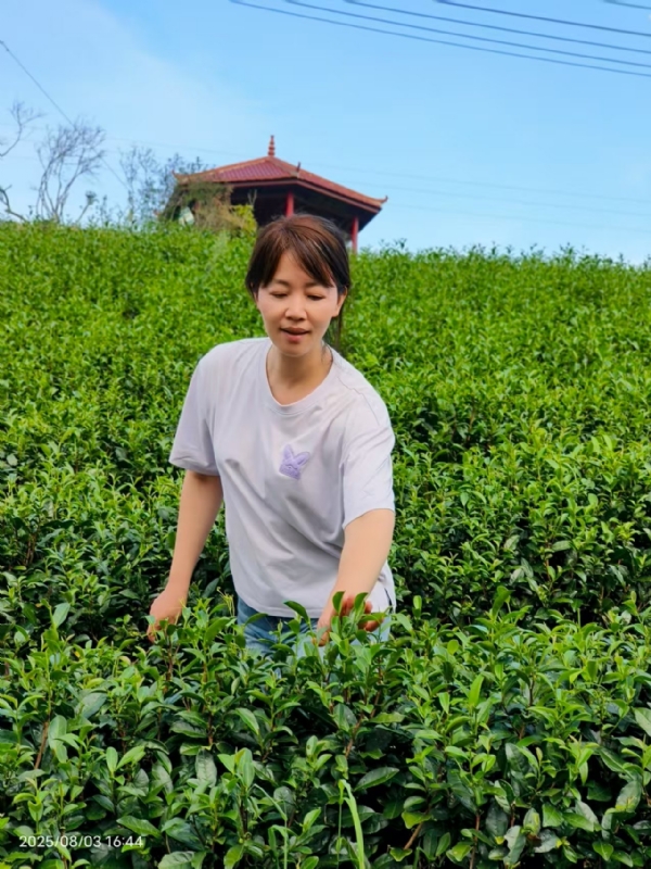Q绮芳的第一张照片--松溪征婚网